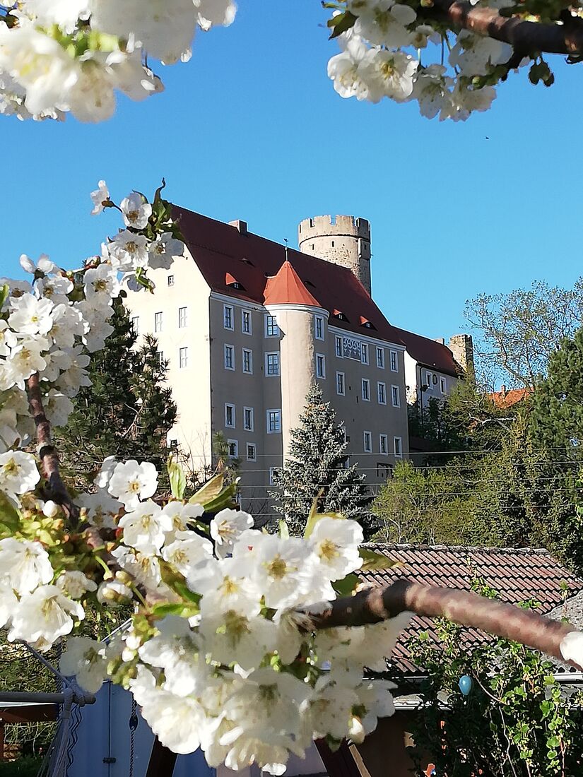 Burg Gnandstein während der Kirschblüte