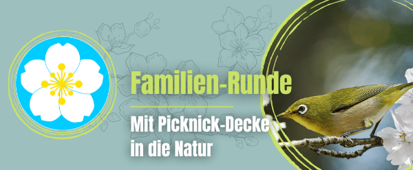 Schnell anmelden!