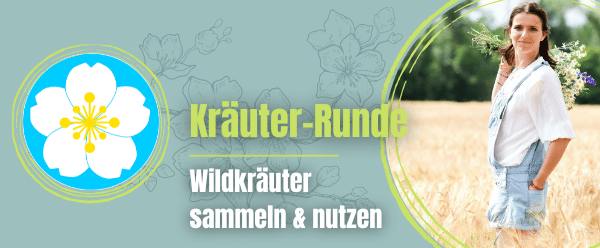 Schnell anmelden!