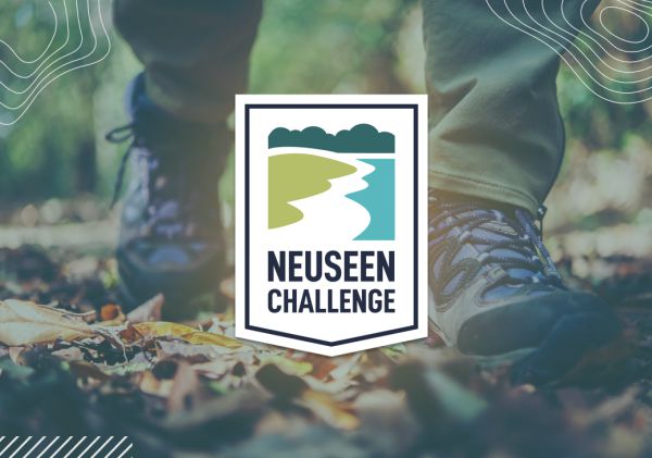 Neuseen Challenge in Mitteldeutschland