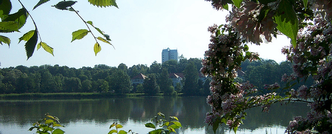 image-284
